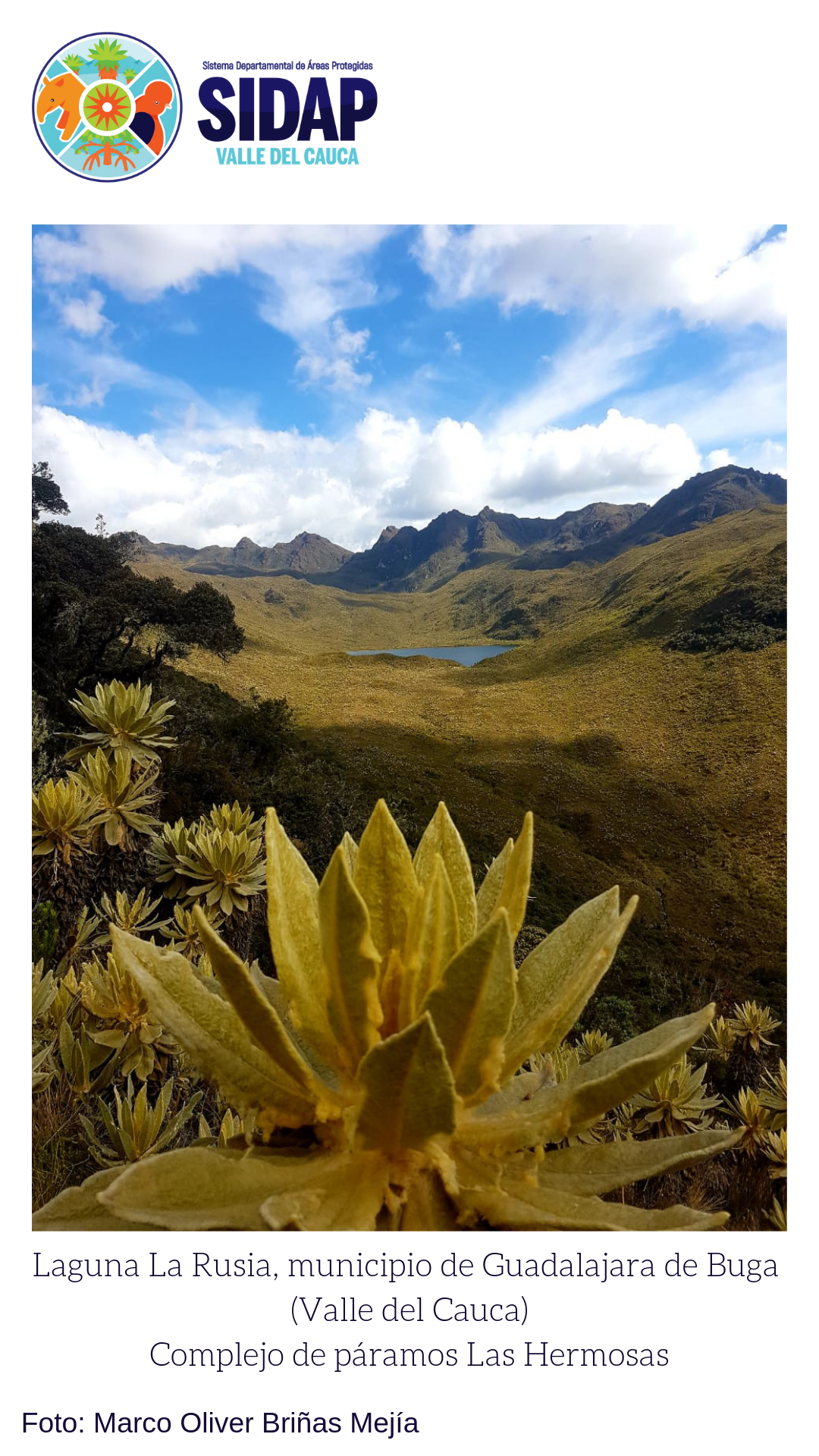 Experiencia de conservación Local en la alta montaña de Guadalajara de Buga