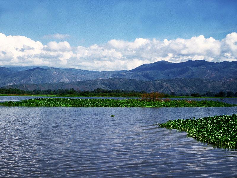 DRMI Laguna de Sonso