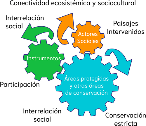 ¿Cómo funciona SIDAP?